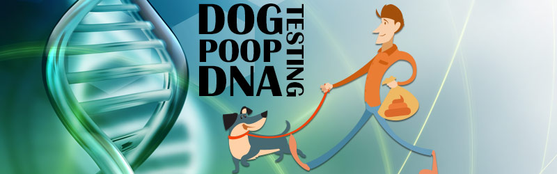 Dog Poop DNA Testing